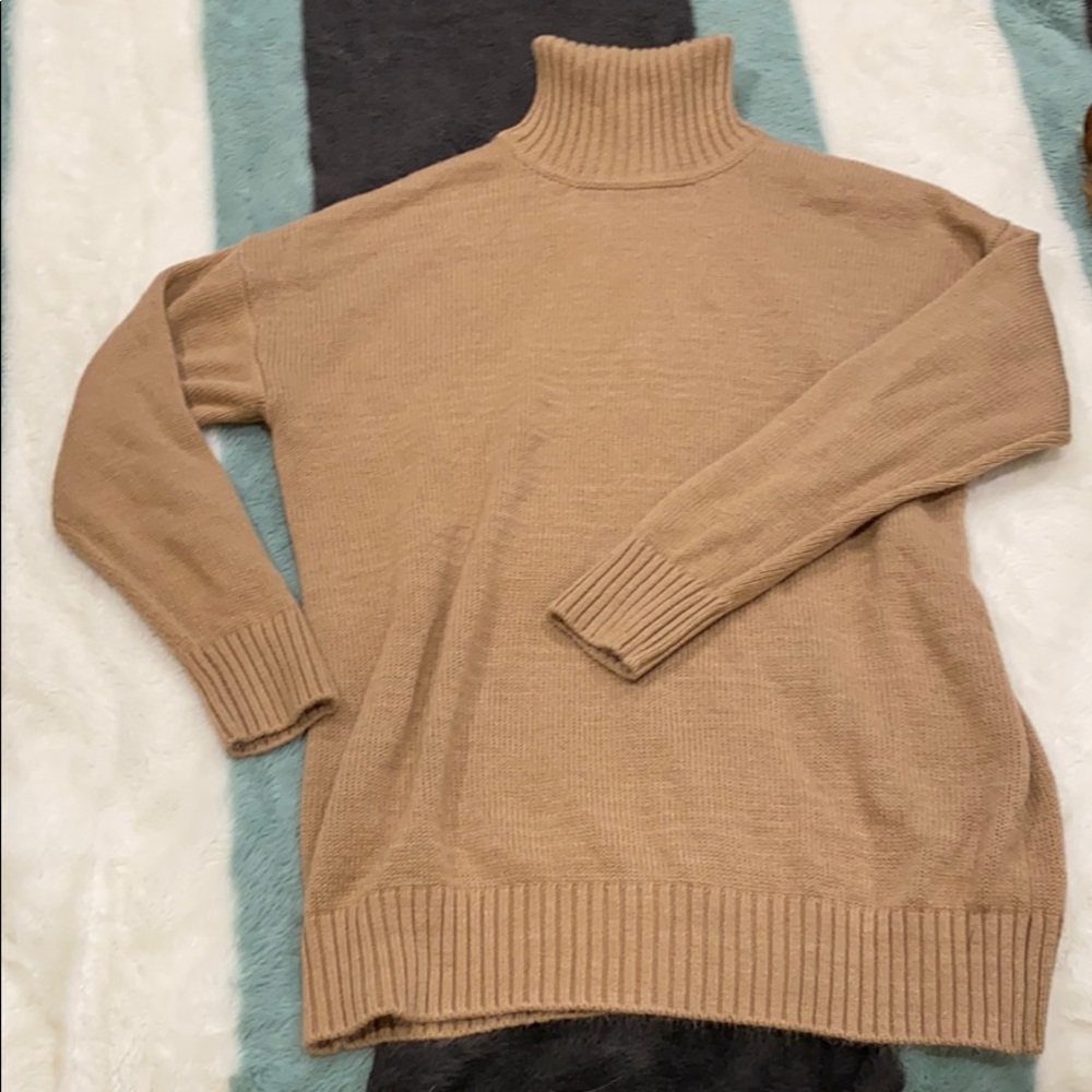 Turtleneck Sweater